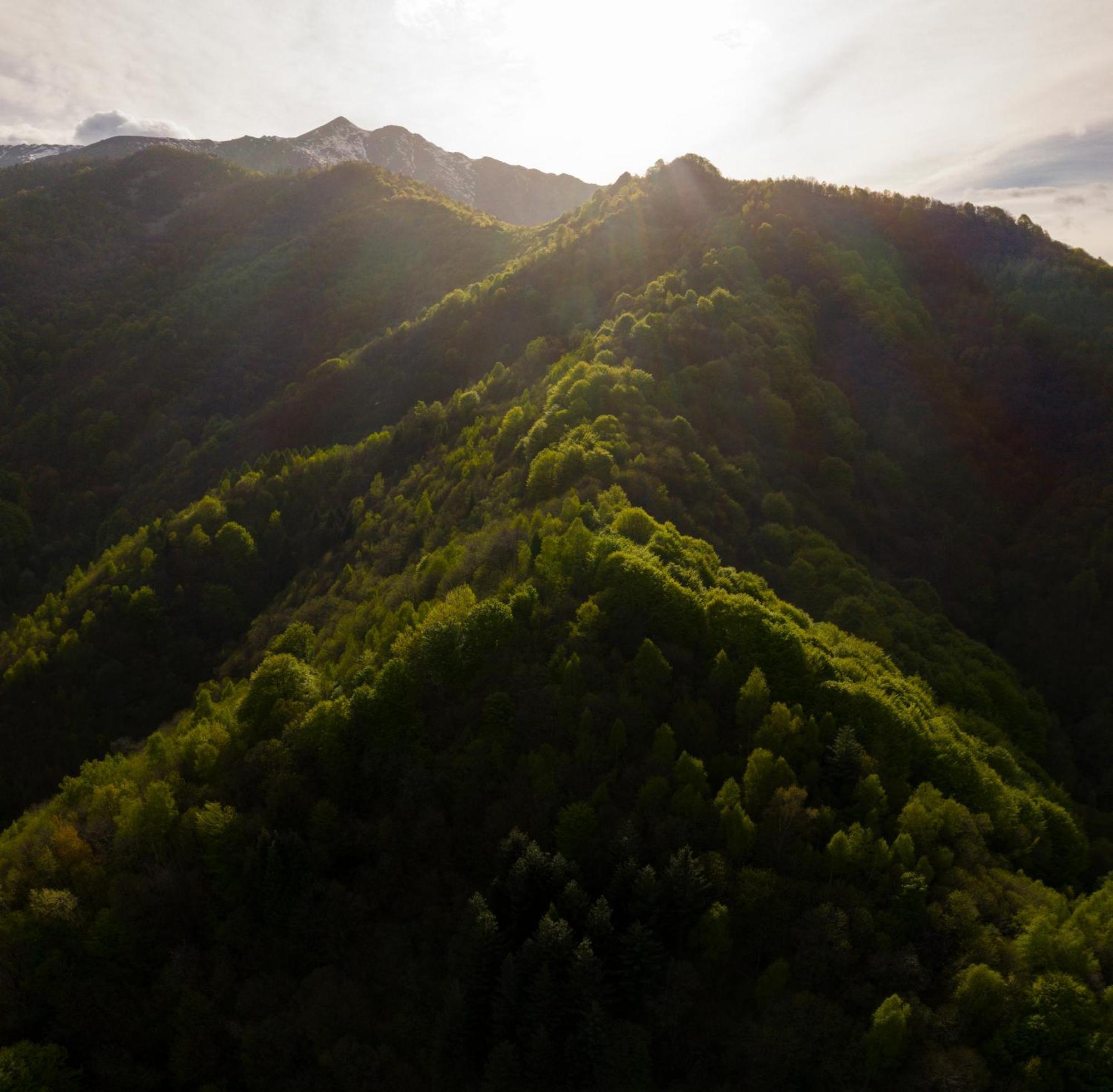 Iduevagamondi - Ospitalita Rurale Famigliare Di Montagna Bed & Breakfast Chiusa di Pesio Екстериор снимка